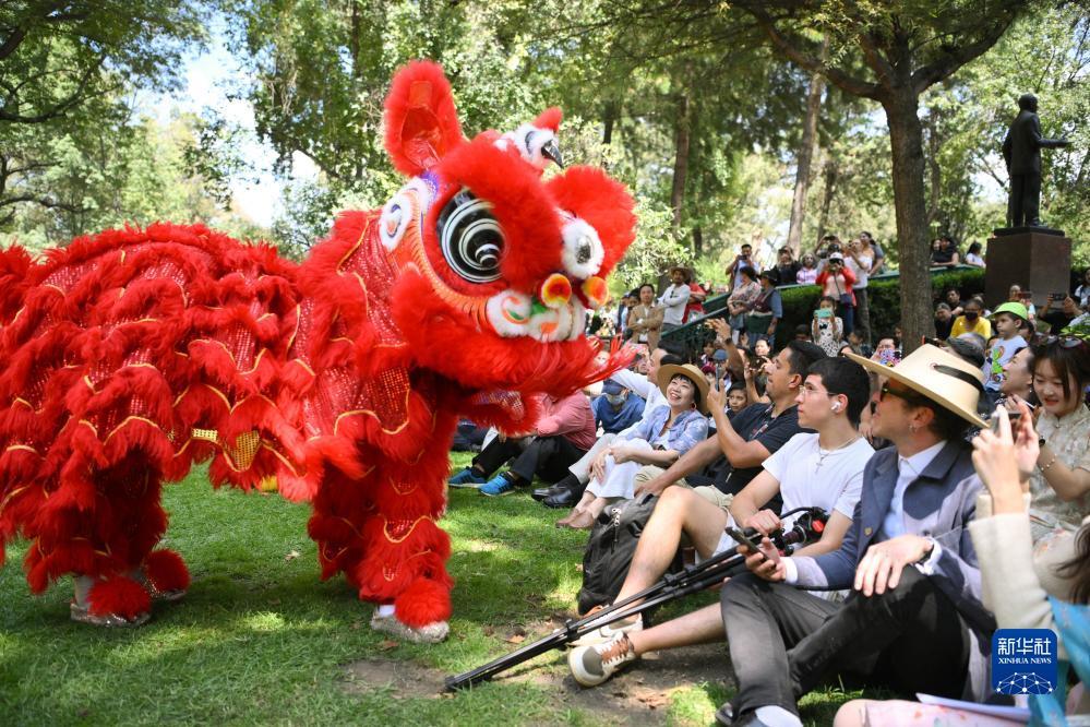 白菜在线论